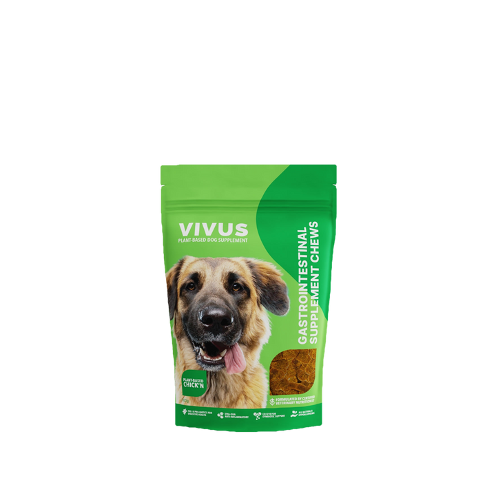 Vivus - Gastrointestinal Support Supplement Chews, 100g