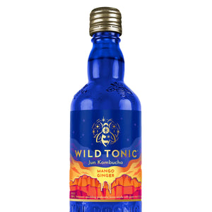 Wild Tonic Kombucha Mango Ginger B 12 Fo - Pack Of 12