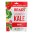 Brad's Crunchy Kale Nacho, 2 oz
 | Pack of 12 - PlantX US