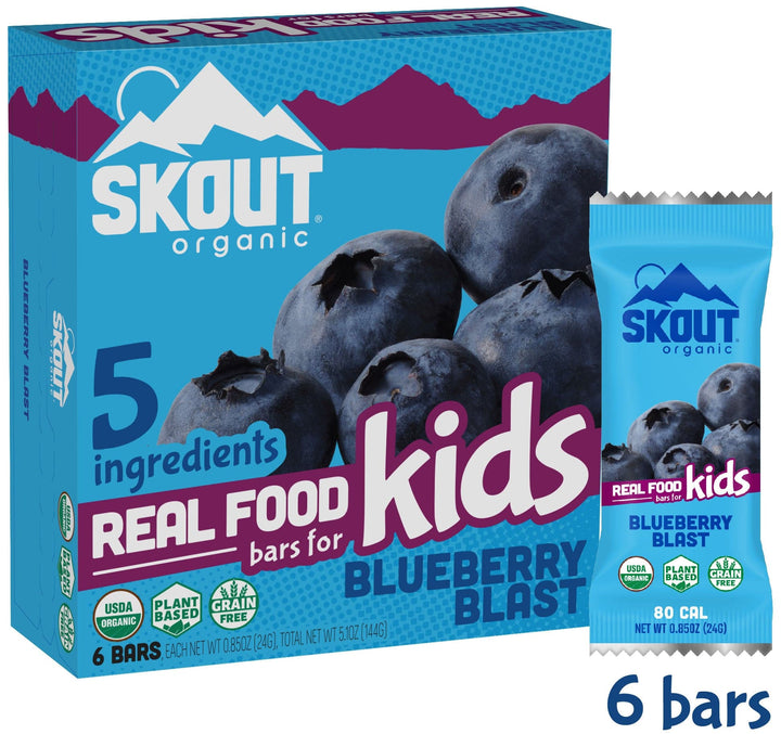Skout Organic Kids Bars, Blueberry Blast, 6 Bars, 0.85oz Each | Pack of 6 - PlantX US