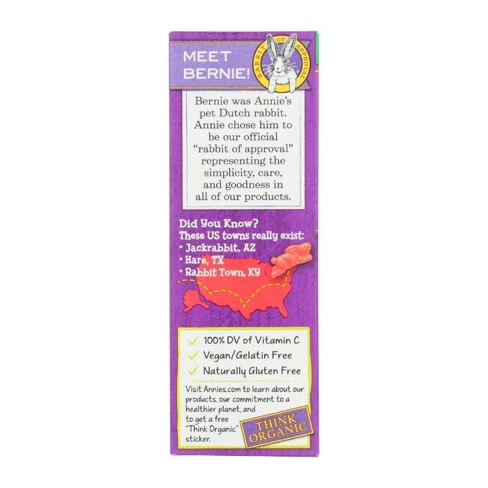 Annie’s Homegrown Berry Patch Bunny Fruit Snacks Side 1