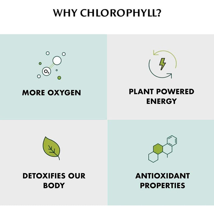 chlorophyll water 6