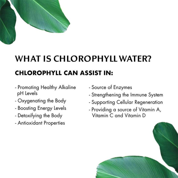 chlorophyll water 5