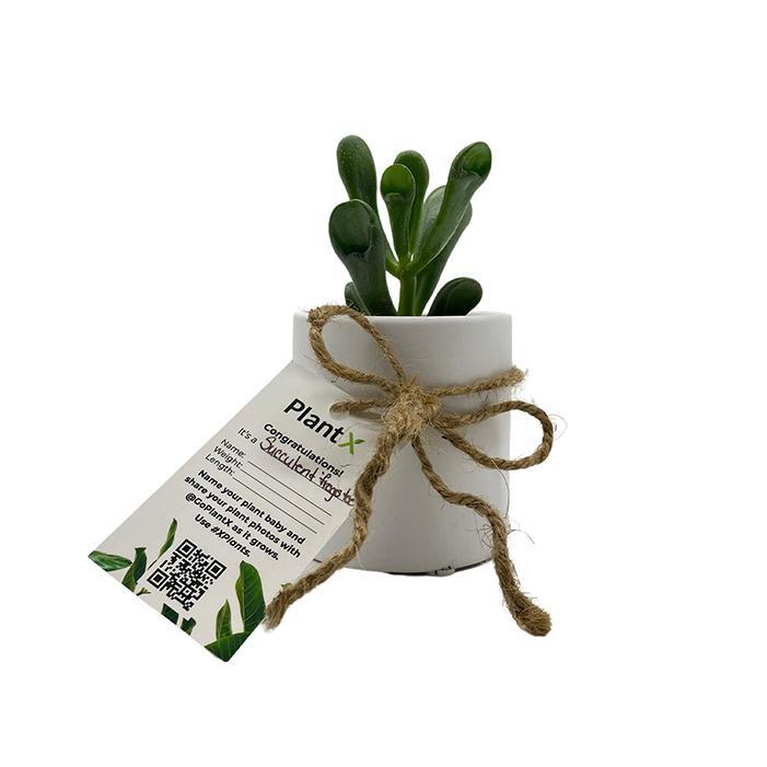 Gift Message - PlantX US