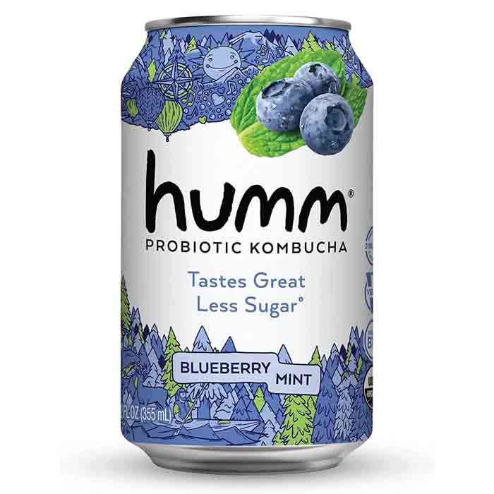 Humm - Kombucha - Blueberry Mint, 12oz