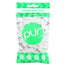 Pur - Sugar-Free Chewing Gum, 55 Pack - Spearmint